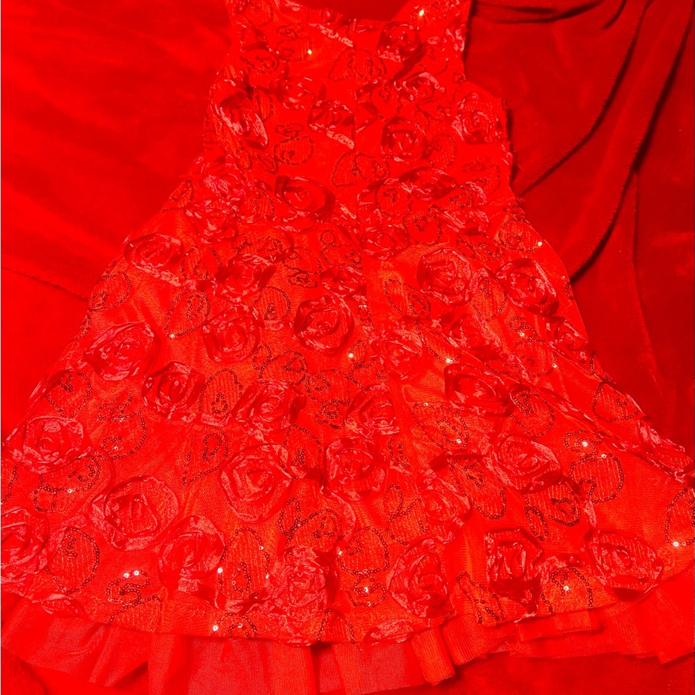 Red Floral Embellished Dress Knit Works